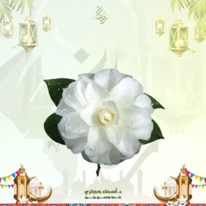 عروض تفتيح البكيني بالبيكو ليزر في جدة